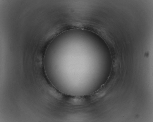 X0000093090466200710101521