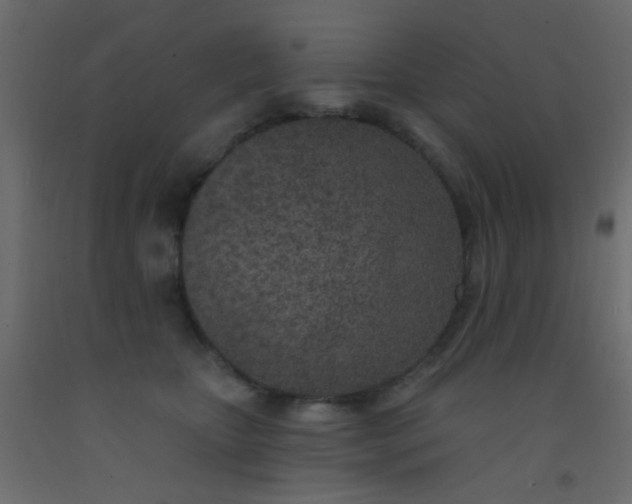 X0000093090467200710101521