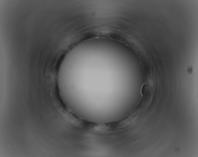 X0000093090468200710101521