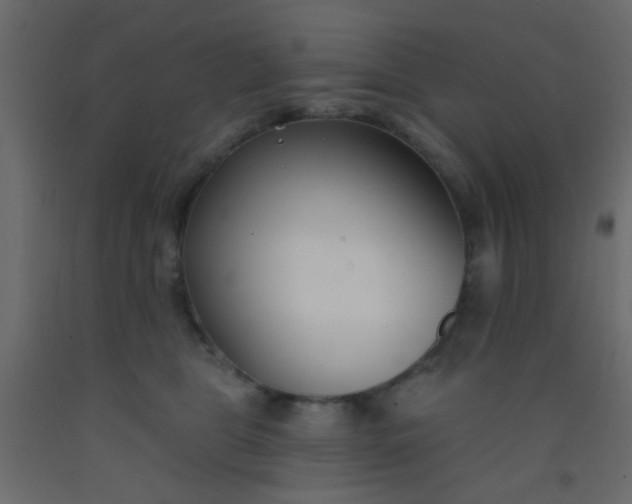 X0000093090469200710101521