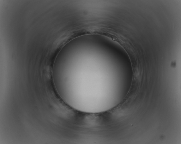 X0000093090470200710101521