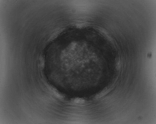 X0000093090471200710101521