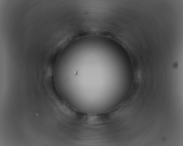 X0000093090472200710101521