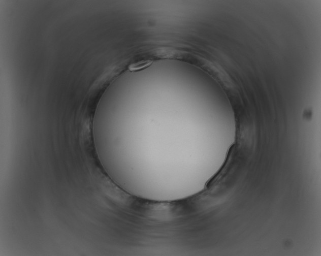 X0000093090473200710101521