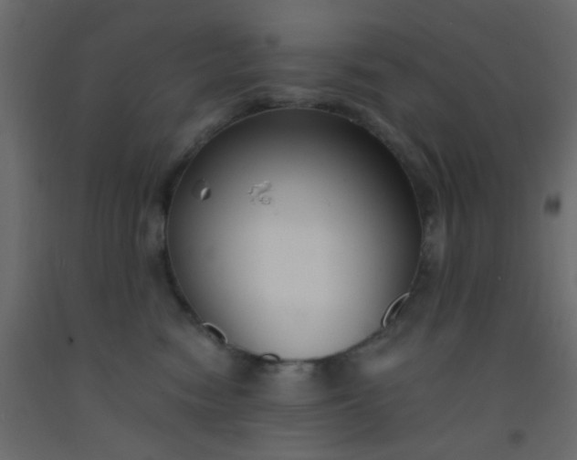 X0000093090474200710101521