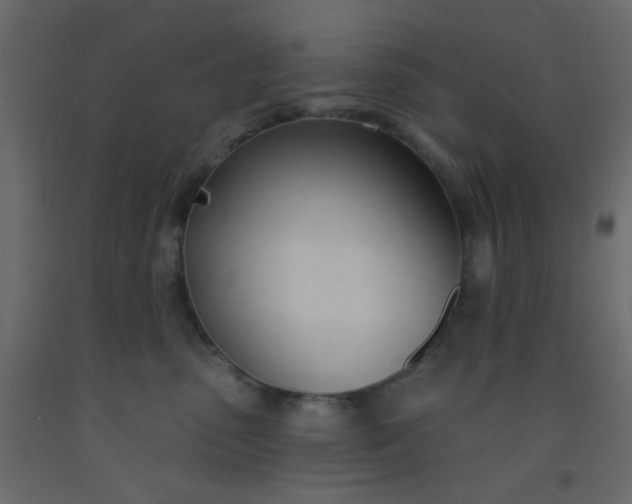 X0000093090475200710101521