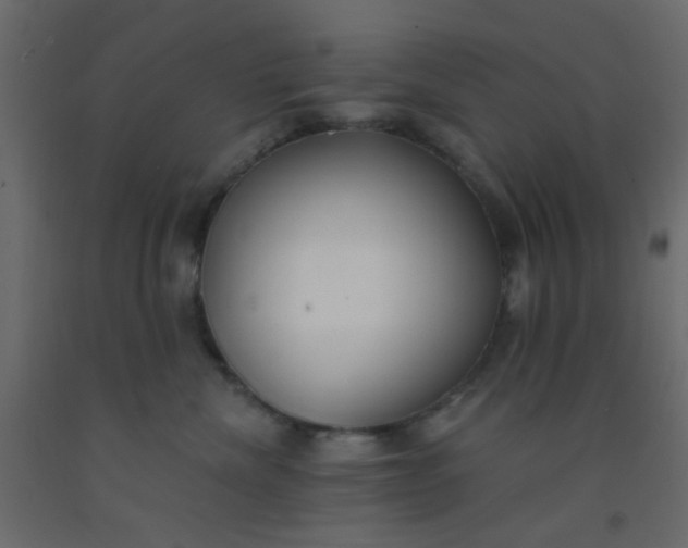 X0000093090476200710101521