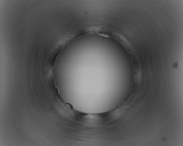 X0000093090477200710101521