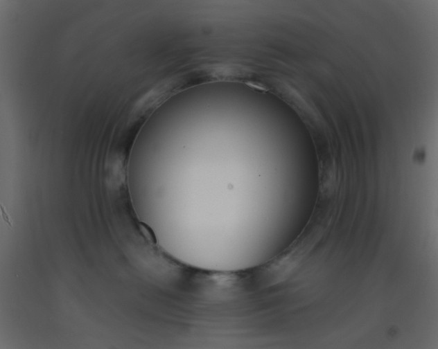 X0000093090478200710101521