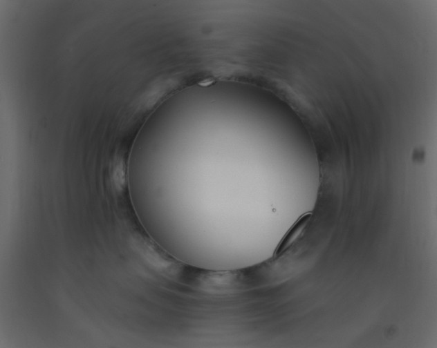 X0000093090479200710101521