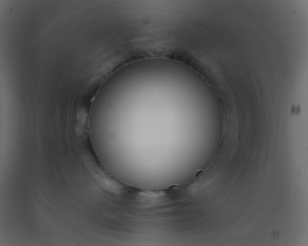 X0000093090480200710101521