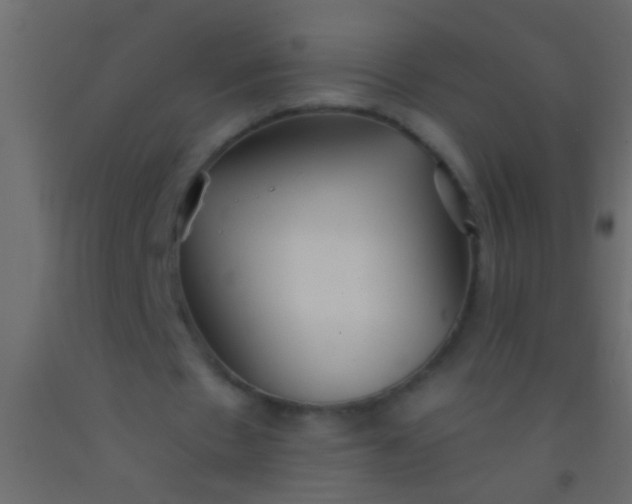 X0000093090481200710101520