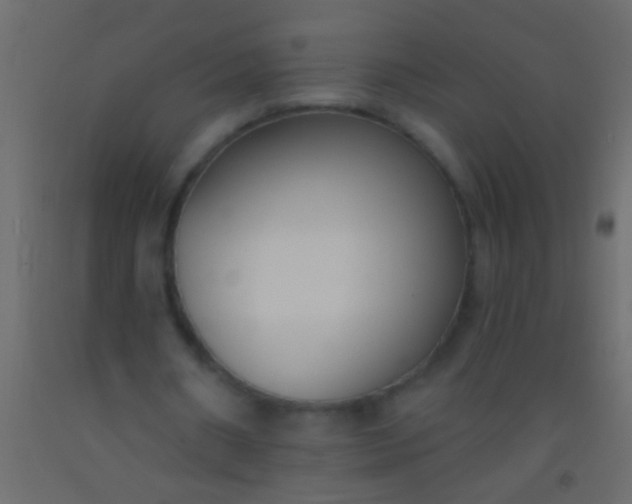 X0000093090482200710101520