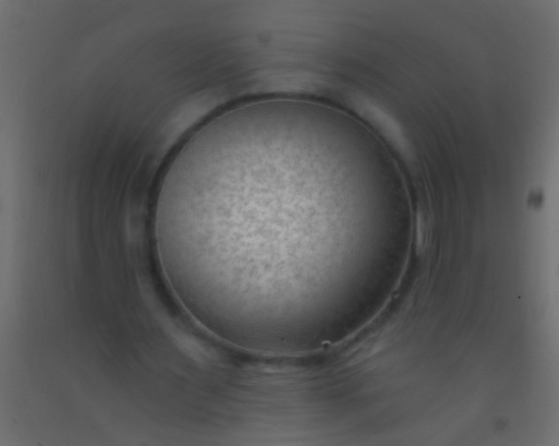 X0000093090483200710101520