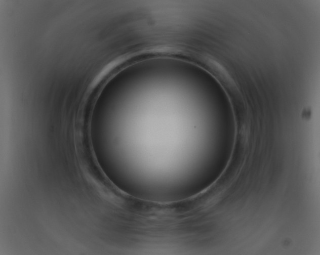 X0000093090484200710101520