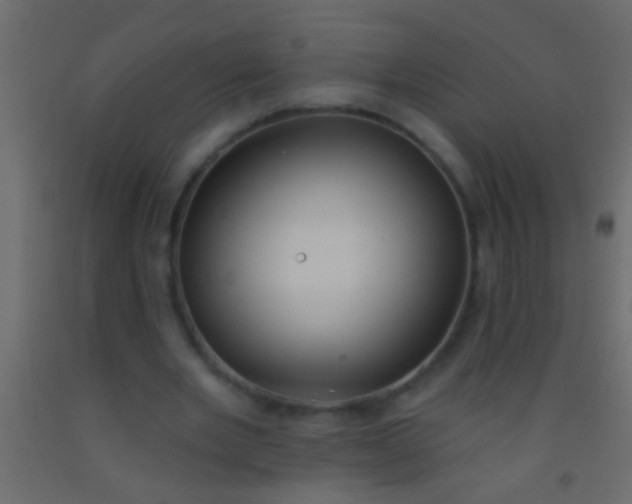 X0000093090485200710101520