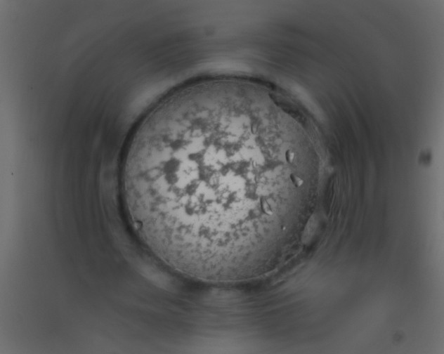 X0000093090487200710101520