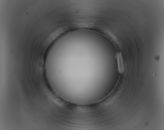 X0000093090490200710101520