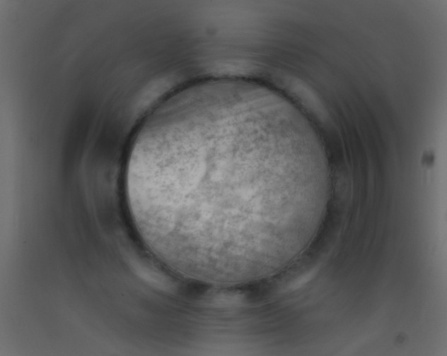 X0000093090491200710101520