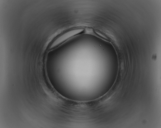 X0000093090492200710101520