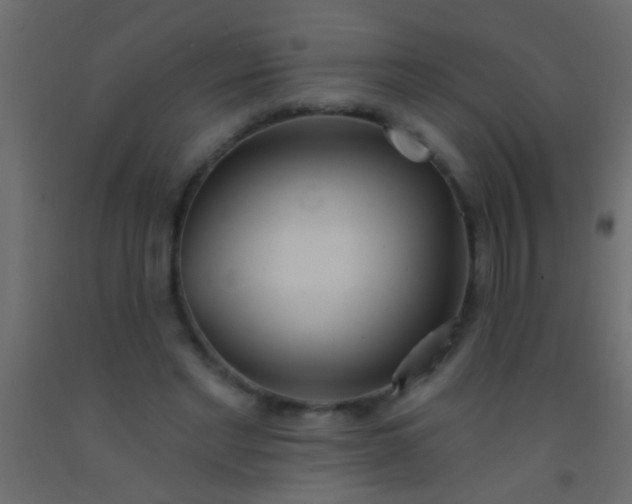 X0000093090493200710101520