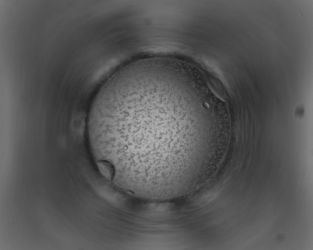 X0000093090495200710101520