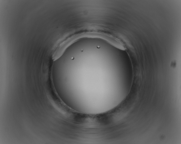 X0000093090496200710101520