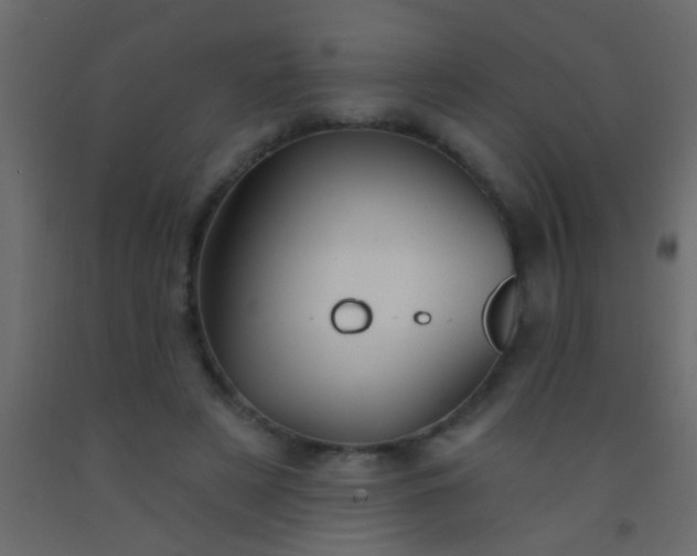 X0000093090497200710101520