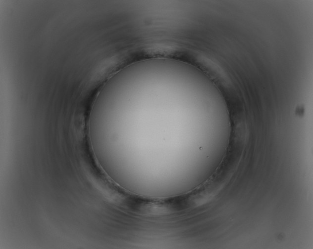 X0000093090498200710101520