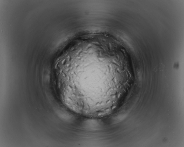 X0000093090499200710101520