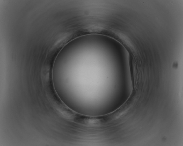 X0000093090501200710101520