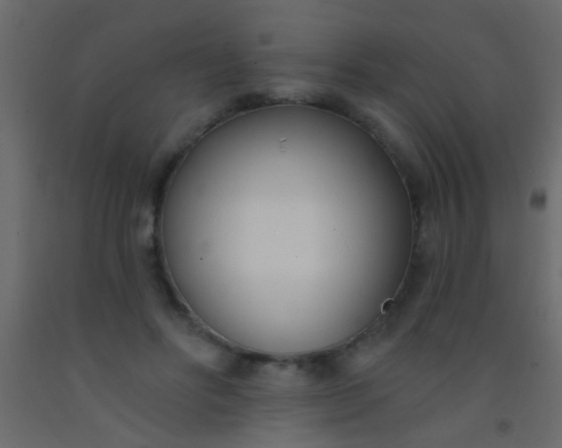 X0000093090502200710101520