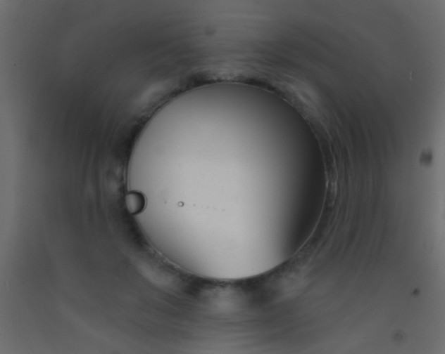 X0000093090503200710101520