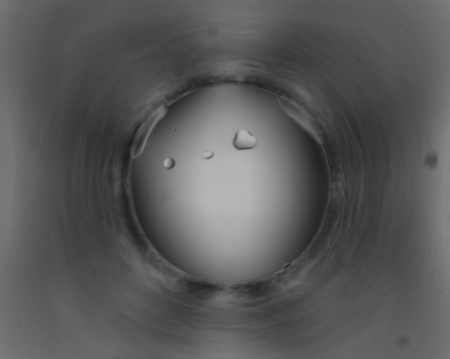 X0000093090504200710101520