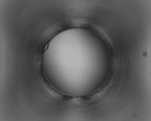 X0000093090505200710101520