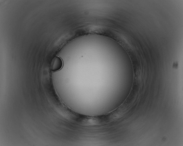 X0000093090506200710101520