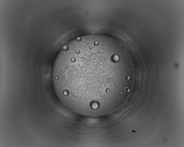 X0000093090507200710101520