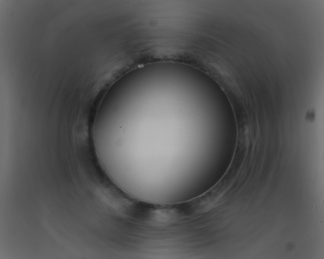 X0000093090508200710101520