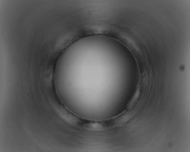 X0000093090509200710101520