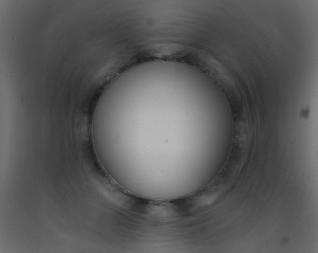 X0000093090510200710101520