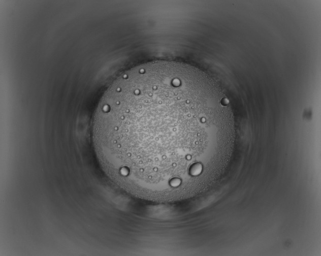 X0000093090511200710101520