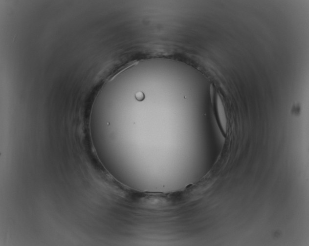 X0000093090512200710101520