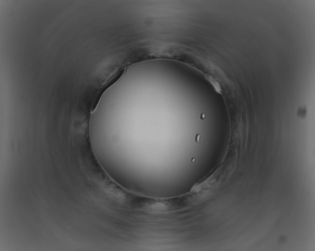 X0000093090513200710101520