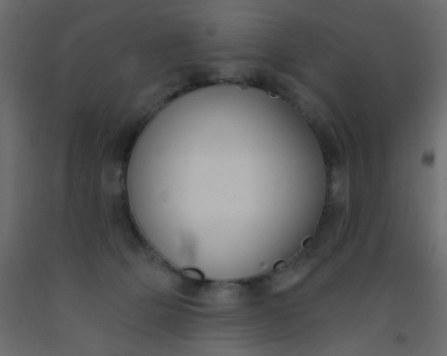 X0000093090514200710101520