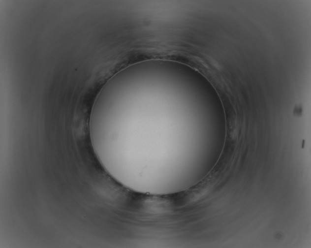 X0000093090515200710101520