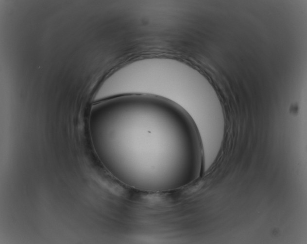 X0000093090516200710101520