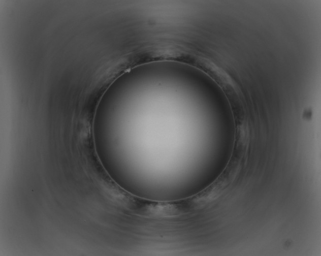 X0000093090517200710101520