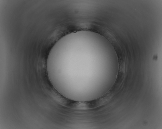 X0000093090518200710101520