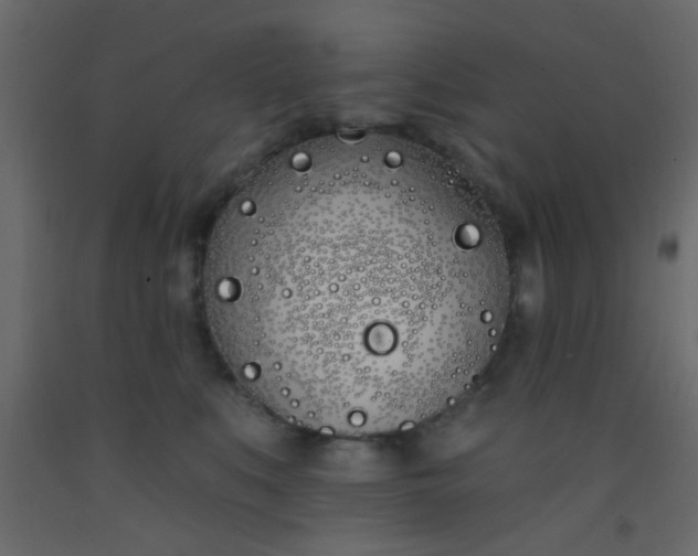 X0000093090519200710101520