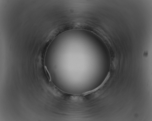 X0000093090520200710101520